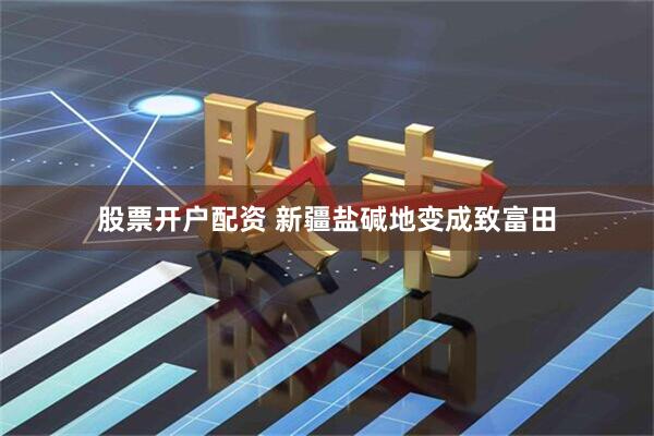 股票开户配资 新疆盐碱地变成致富田