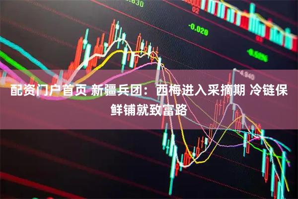 配资门户首页 新疆兵团：西梅进入采摘期 冷链保鲜铺就致富路