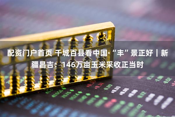 配资门户首页 千城百县看中国·“丰”景正好｜新疆昌吉：146万亩玉米采收正当时